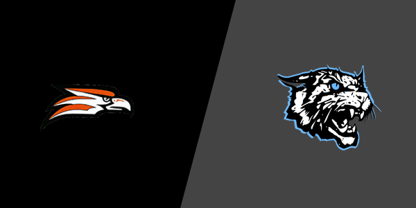 Match Thumbnail