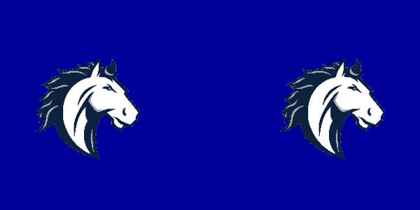 North Branch High School