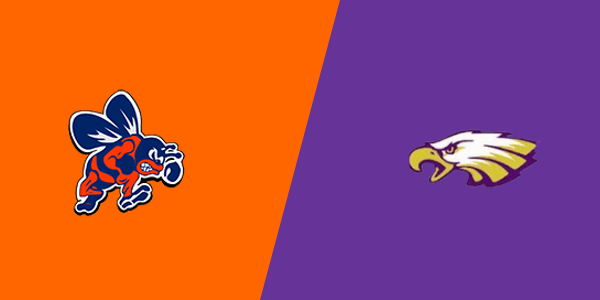 Bridgman High School vs. Schoolcraft High School