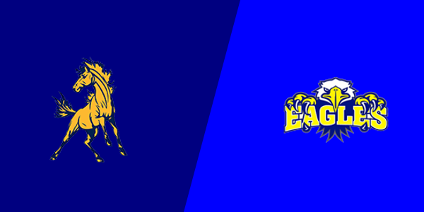 Bark River-Harris High School vs. Stephenson High School