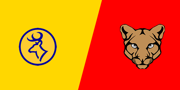 Roscommon High School vs. Crossroads Charter Academy
