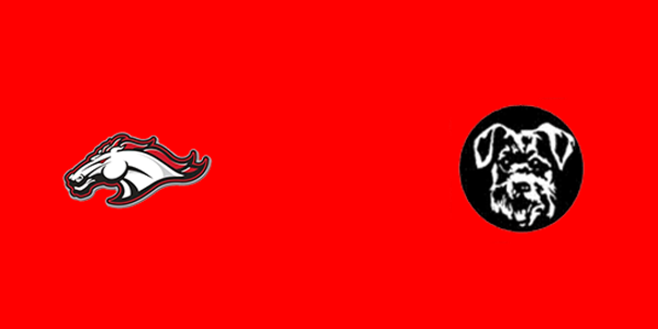 Bellevue High School vs. Litchfield High School