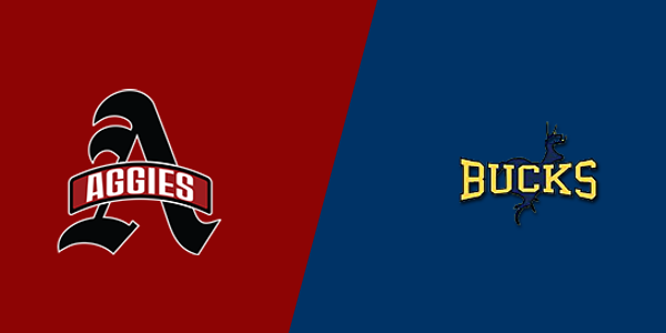 Albertville High School vs. Buckhorn High School