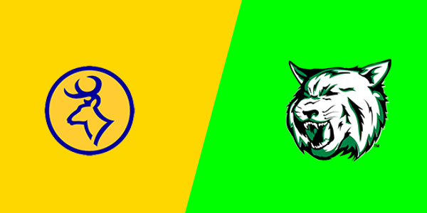 Roscommon High School vs. Houghton Lake High School