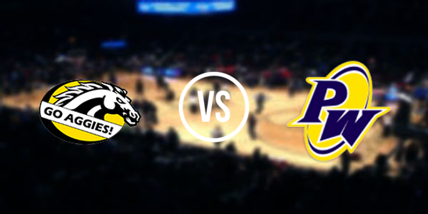 Dansville High School vs Pewamo-Westphalia High School