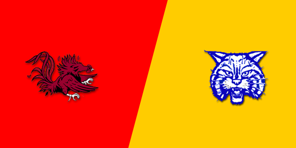 McNairy Central High School vs. Cocke County High School