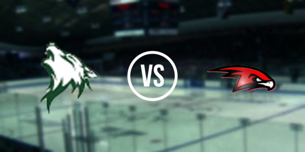 Delta High School vs Houston High School