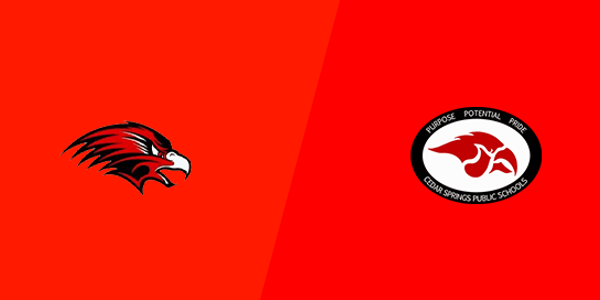 Allendale High School vs. Cedar Springs High School