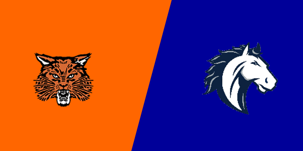 Ubly High School vs. North Branch High School