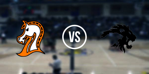 Plains High School vs. Lincoln County High School