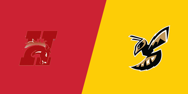 Hamilton High School vs. Stevensville High School