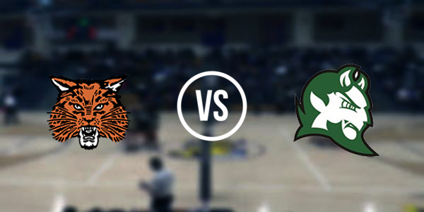 Ubly High School vs. Brown City High School