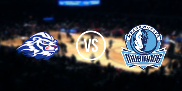Peachtree Ridge High School vs. Meadowcreek High School