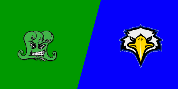 Narrows High School vs. Auburn High School