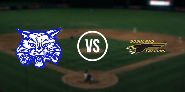 Childress vs Bushland