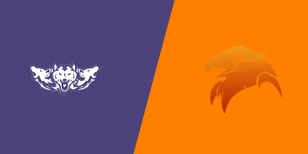 Match Thumbnail