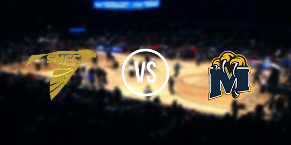 St. Mary Catholic Central High School vs. Erie-Mason High School