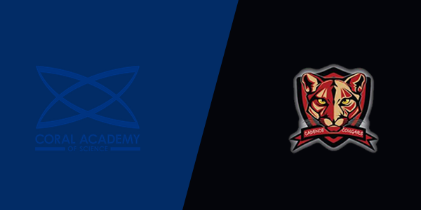 Match Thumbnail