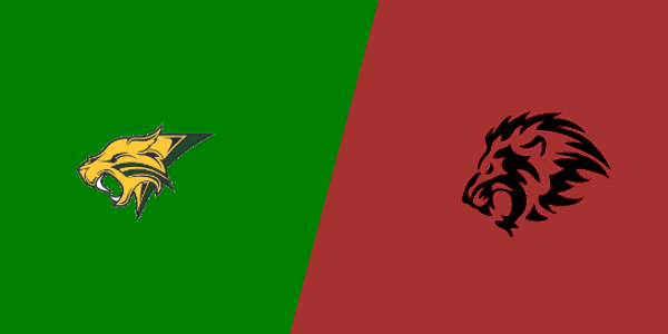 Match Thumbnail