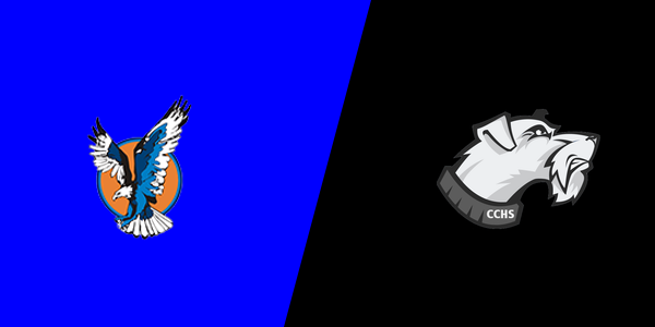 Vienna High School vs. Carbondale Community High School