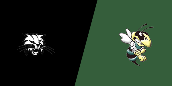 Athens Area High School vs. Wellsboro Area High School