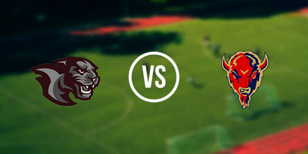 Portville Senior High School vs FalconerCassadaga ValleyMaple Grove