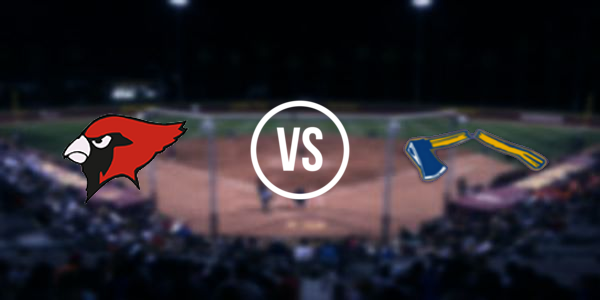 Bad Axe High School vs Millington High School