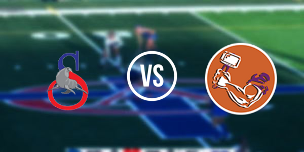 Danville Area High School vs Selinsgrove Area High School