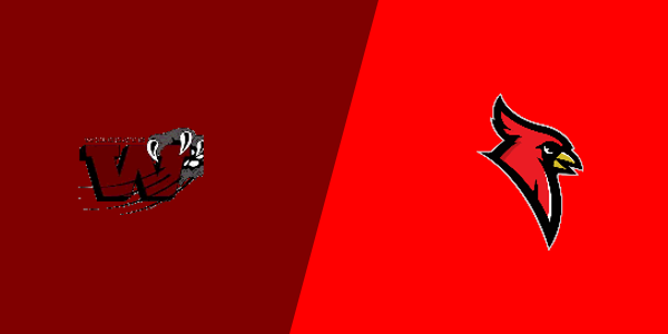 Mayville High School vs. Dryden High School