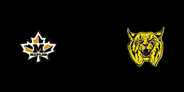 Mapletown High School vs. Bentworth High School