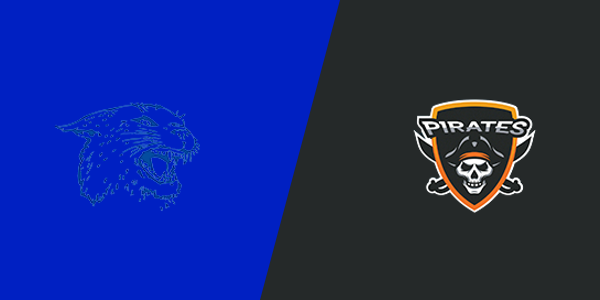 Live Stream Preview