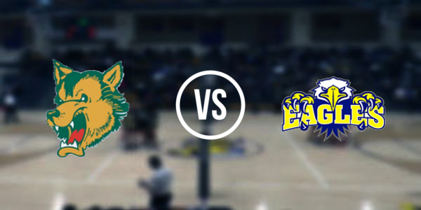 Stephenson High School vs. Carney-Nadeau High School