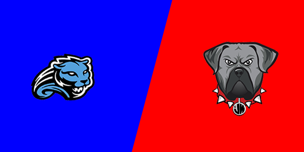 Match Thumbnail