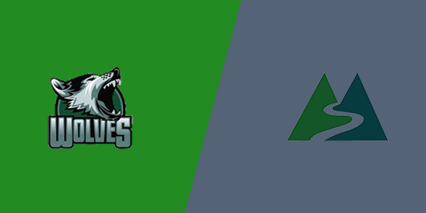 Woods Charter vs Summit Charter Academy