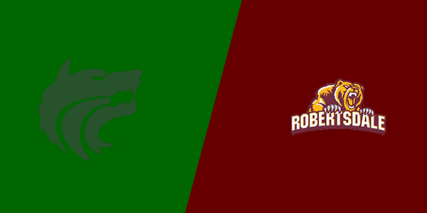 Vigor High School vs. Robertsdale High School