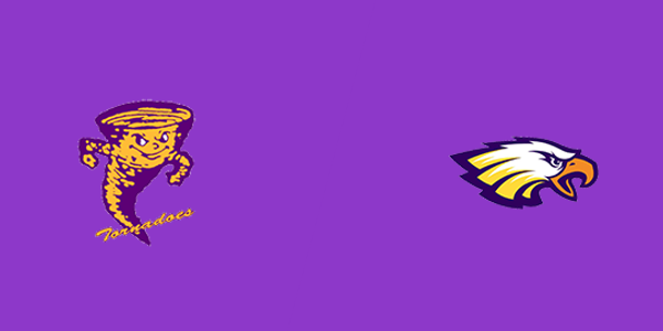 Taylorville High School vs. Civic Memorial High School