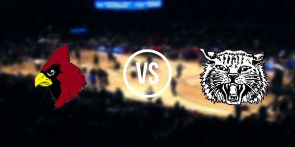 Alpena High School vs Johannesburg-Lewiston High School